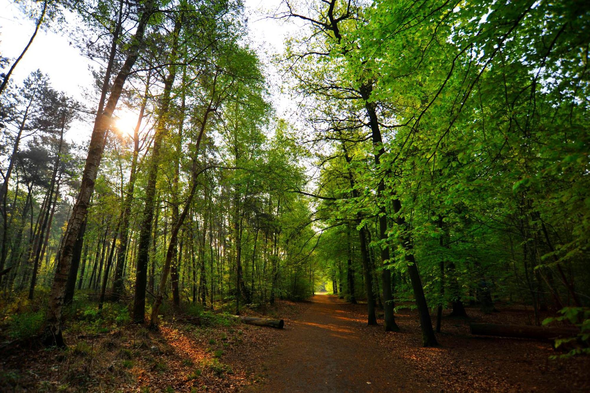 Parkhotel Mastbosch Бреда Экстерьер фото