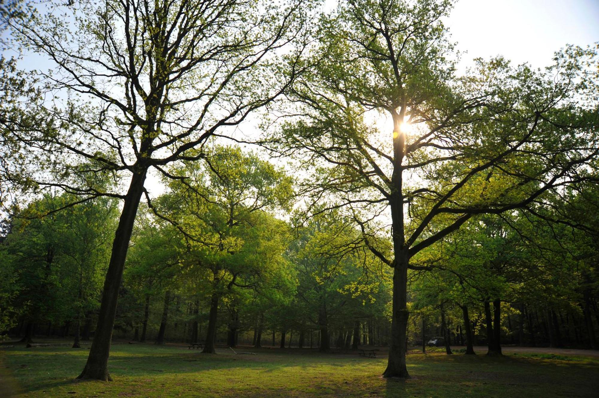 Parkhotel Mastbosch Бреда Экстерьер фото