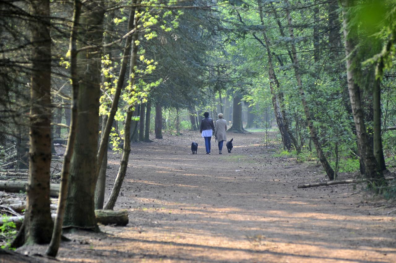Parkhotel Mastbosch Бреда Экстерьер фото